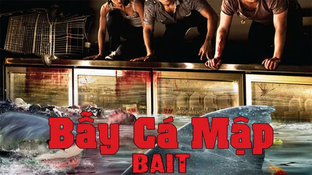 Bẫy Cá Mập - Bẫy Cá Mập