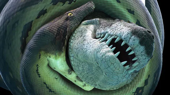 Bí Ẩn Quái Vật Khổng Lồ Titanoboa - Bí Ẩn Quái Vật Khổng Lồ Titanoboa