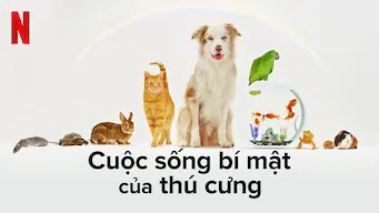 Cuộc sống bí mật của thú cưng Cuộc sống bí mật của thú cưng