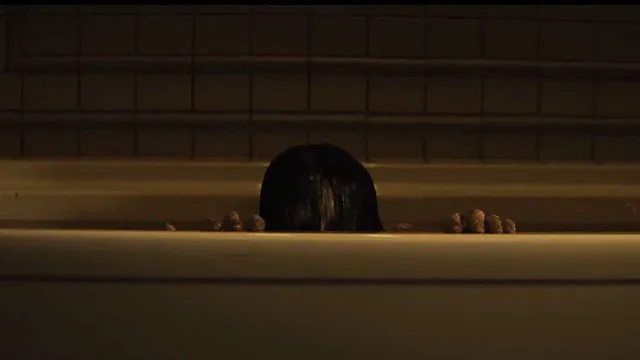 The Grudge - The Grudge