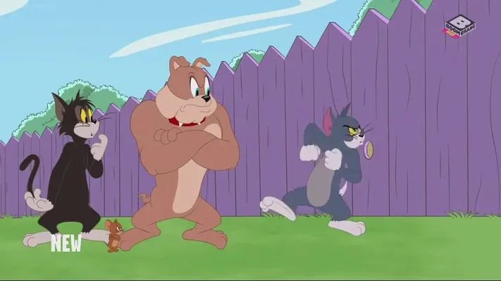 The Tom and Jerry Show (Phần 3) - The Tom and Jerry Show (Phần 3)